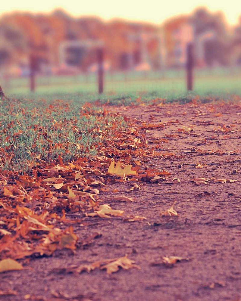 Foto di Luca Moretti